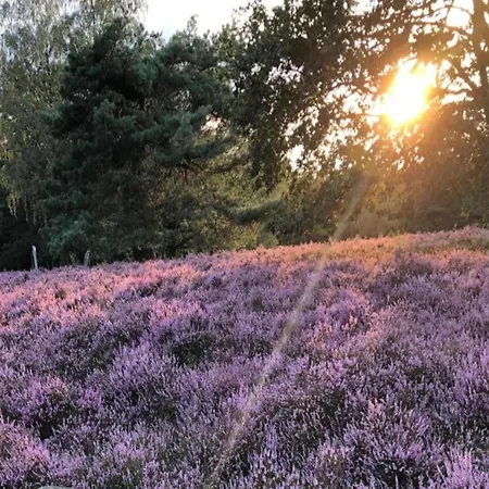 Fuer Vier Personen Schneverdingen